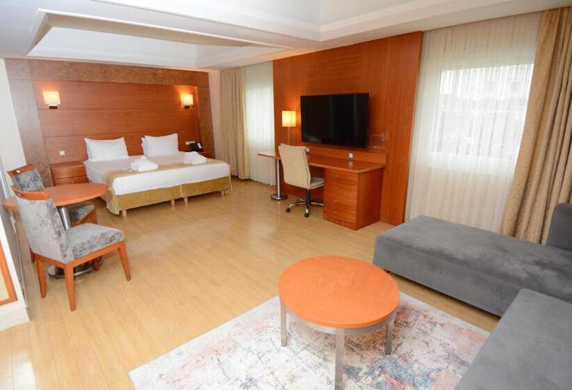 سوئیت اجرایی با تخت کینگ, Holiday Inn Istanbul City, An Ihg