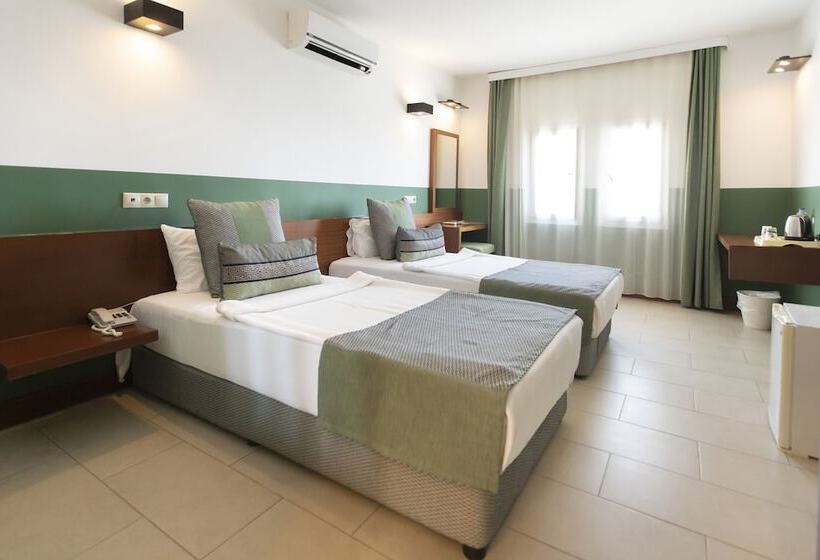 غرفة قياسية, Magna Manastir