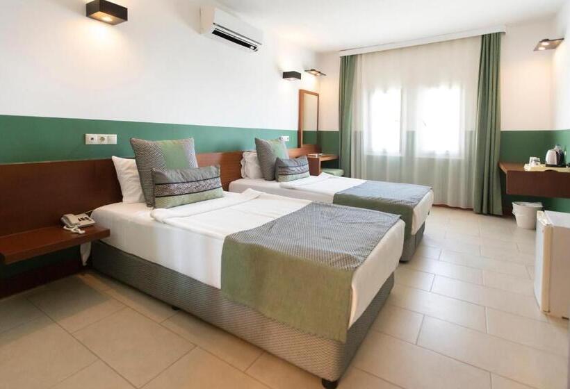 غرفة قياسية, Magna Manastir