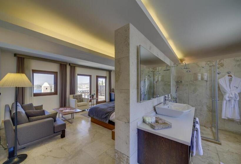 Penthouse Suite, Magna Manastir