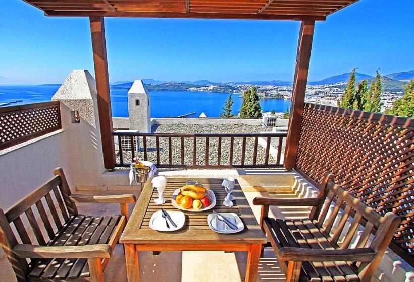 جناح دور أخير, Magna Manastir