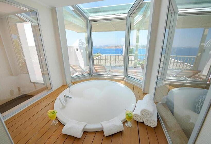 جناح سرير كينج, Magna Manastir