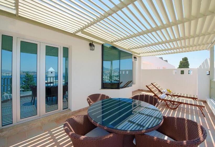 جناح سرير كينج, Magna Manastir