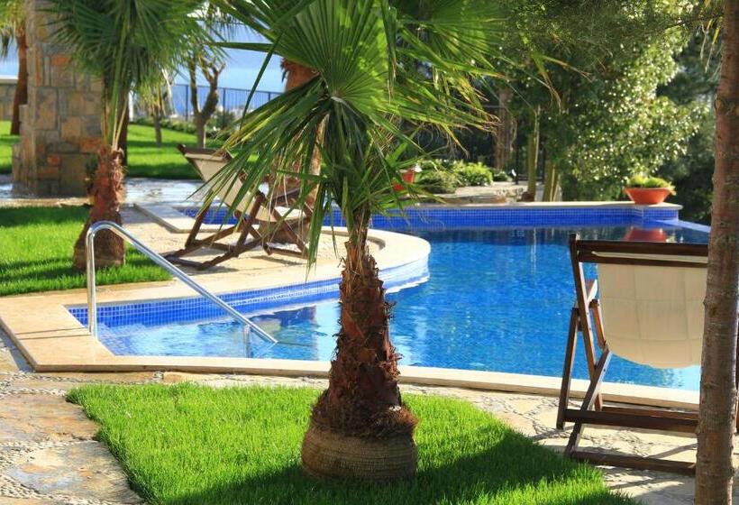 غرفة قياسية مطلّة علي حمام السباحة, Magna Manastir