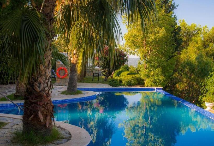 غرفة قياسية مطلّة علي حمام السباحة, Magna Manastir