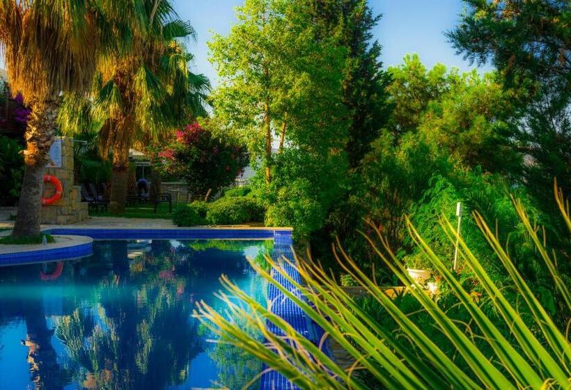 غرفة قياسية مطلّة علي حمام السباحة, Magna Manastir