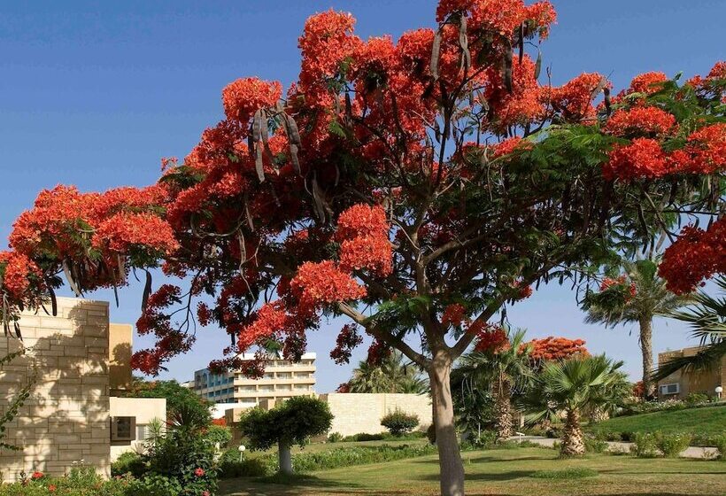 اتاق استاندارد, Mercure Ismailia Forsan Island