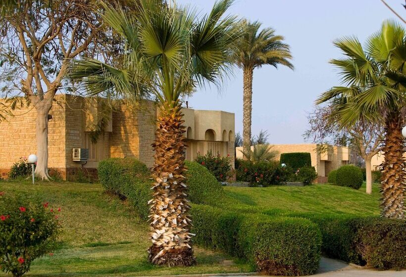 اتاق سوپریور با چشمانداز باغ, Mercure Ismailia Forsan Island