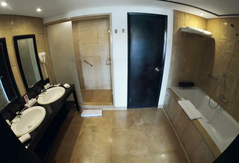 Полулюкс Кровать Кинг, Movenpick Resort Aswan