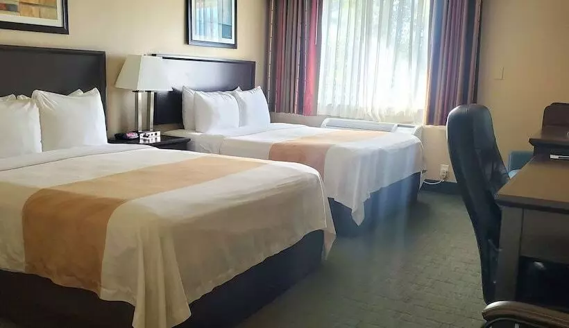 اتاق استاندارد با 2 تخت دوبل, Quality Inn & Suites Anaheim At The Park