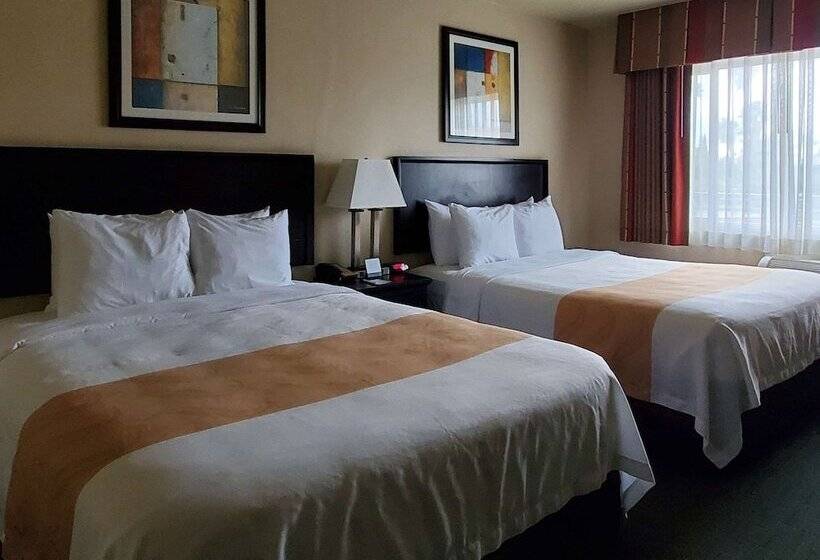 غرفه قياسيه سريرين مزدوجين, Quality Inn & Suites Anaheim At The Park