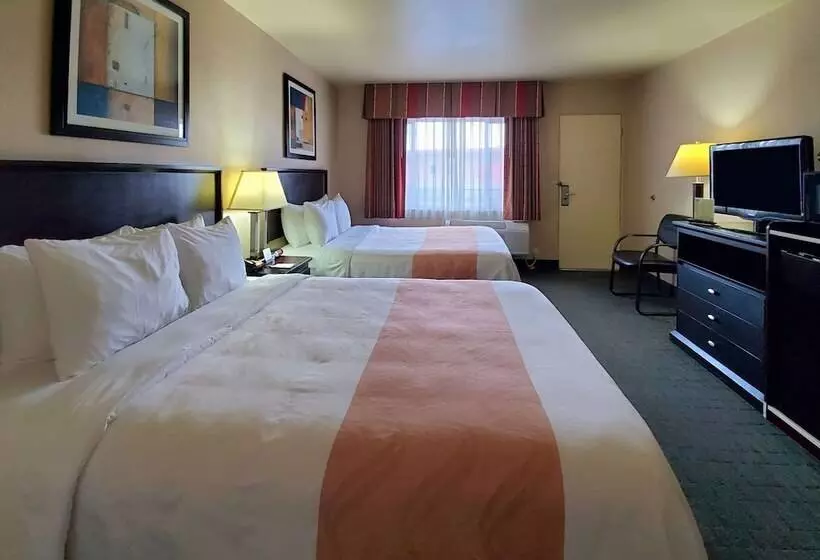 اتاق استاندارد با تخت دو نفره بزرگ, Quality Inn & Suites Anaheim At The Park