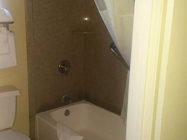 اتاق استاندارد با تخت دو نفره بزرگ, Quality Inn & Suites Anaheim At The Park