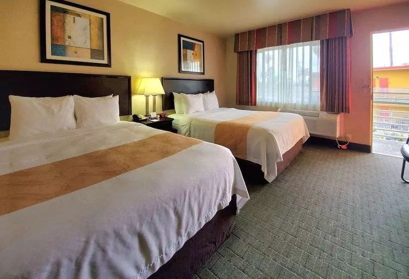 اتاق استاندارد با تخت دو نفره بزرگ, Quality Inn & Suites Anaheim At The Park