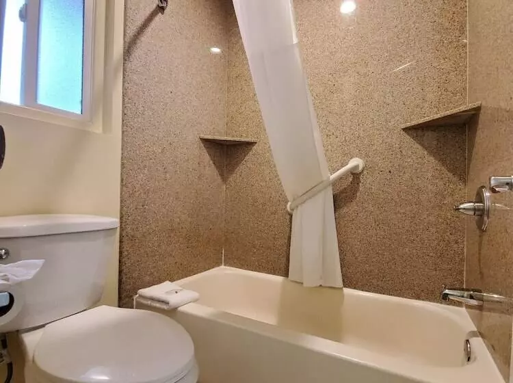 اتاق استاندارد, Quality Inn & Suites Anaheim At The Park