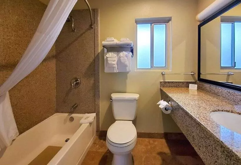 اتاق استاندارد, Quality Inn & Suites Anaheim At The Park