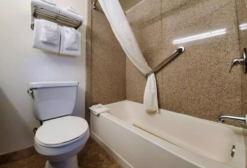 اتاق استاندارد, Quality Inn & Suites Anaheim At The Park
