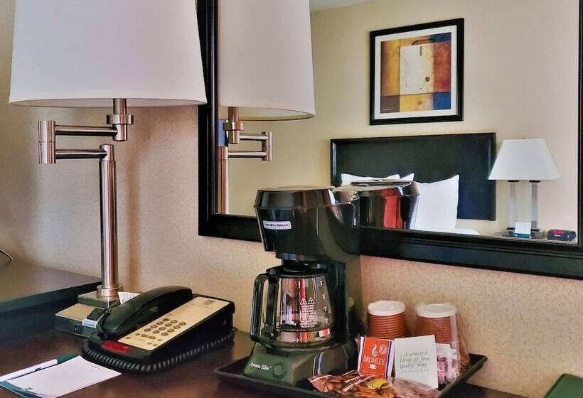 Standard-huone, Quality Inn & Suites Anaheim At The Park