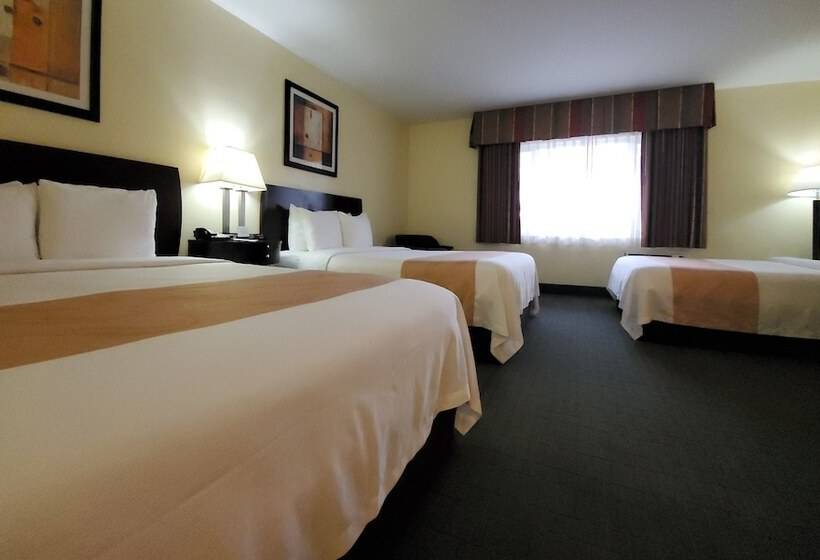 Standard-huone, Quality Inn & Suites Anaheim At The Park