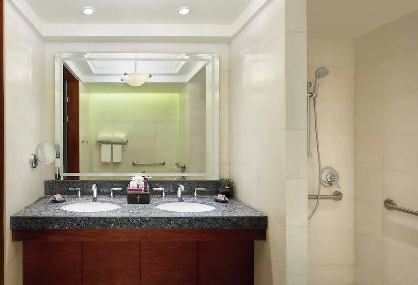 带观景的豪华间, The Nile Ritz Carlton