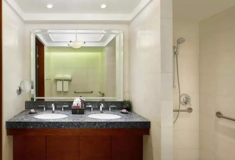 اتاق دلوکس با تخت کینگ و چشم‌انداز, The Nile Ritz Carlton