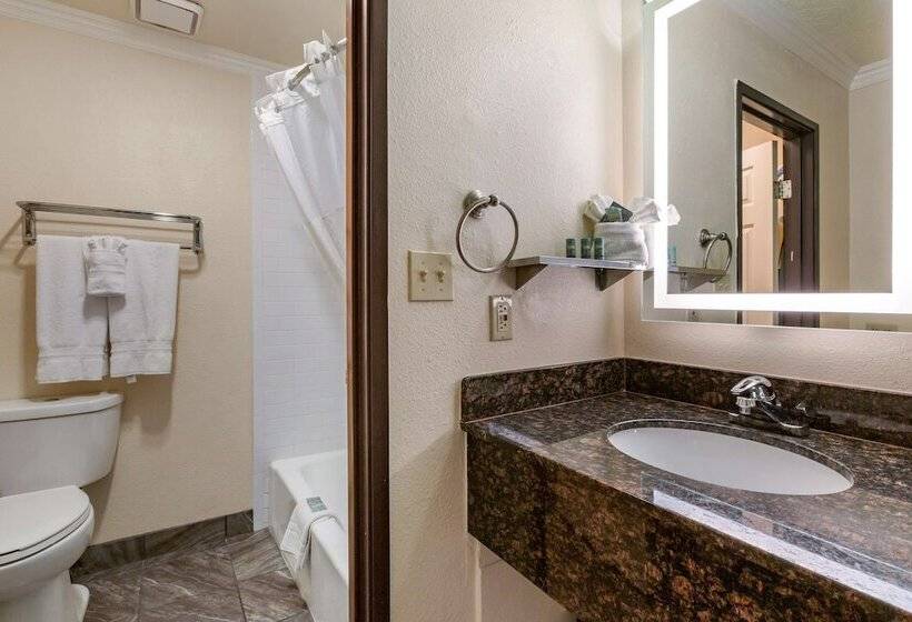 Люкс, Best Western Airport Albuquerque Innsuites Hotel & Suites