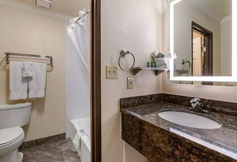 سوییت, Best Western Airport Albuquerque Innsuites Hotel & Suites