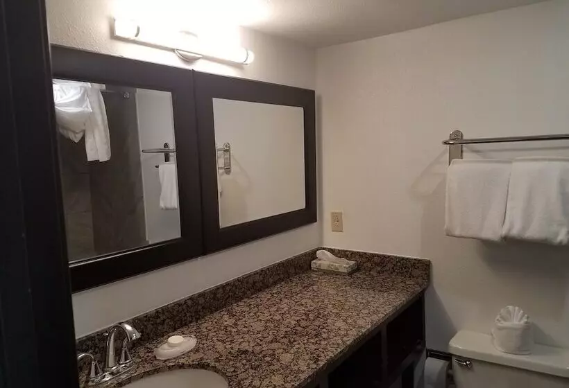 سوییت, Best Western Airport Albuquerque Innsuites Hotel & Suites