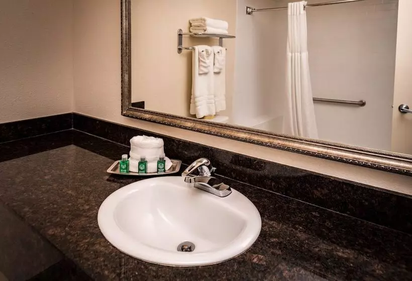 اتاق استاندارد, Best Western Airport Albuquerque Innsuites Hotel & Suites