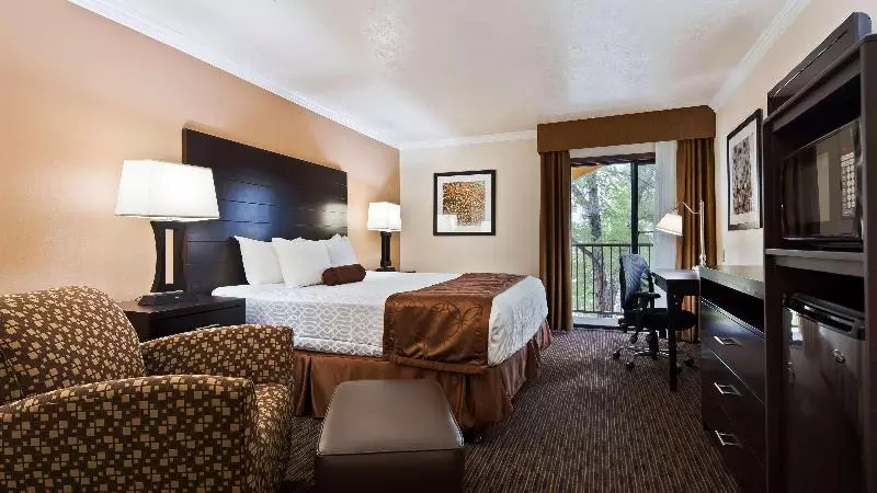 اتاق استاندارد با تخت بزرگ, Best Western Airport Albuquerque Innsuites Hotel & Suites