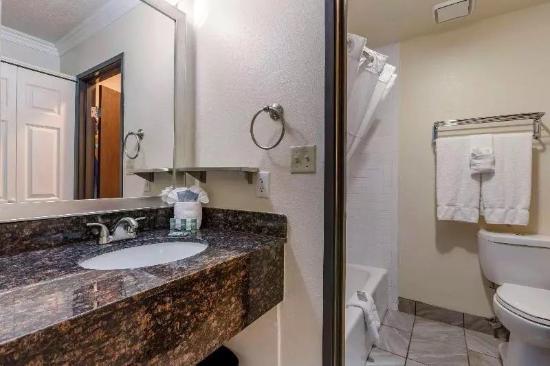 اتاق استاندارد با تخت بزرگ, Best Western Airport Albuquerque Innsuites Hotel & Suites