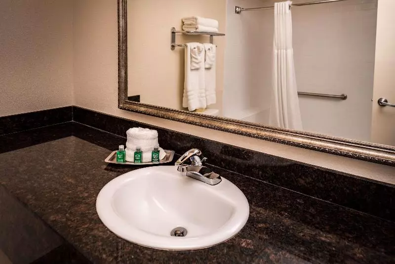 سوئیت با تخت بزرگ, Best Western Airport Albuquerque Innsuites Hotel & Suites