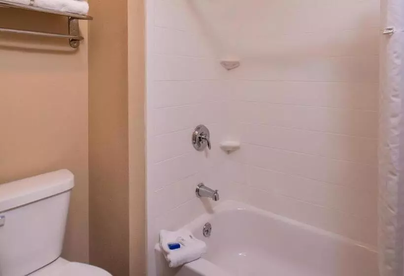 اتاق استاندارد با تخت بزرگ, Best Western Ambassador Inn & Suites