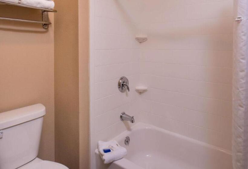 标准间, Best Western Ambassador Inn & Suites