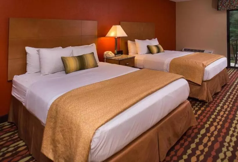 اتاق استاندارد با چشمانداز استخر, Best Western Ambassador Inn & Suites
