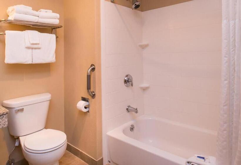 带大床的套房, Best Western Ambassador Inn & Suites