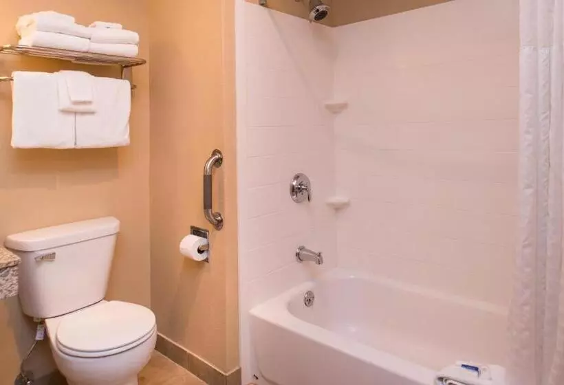 سوئیت با تخت بزرگ, Best Western Ambassador Inn & Suites