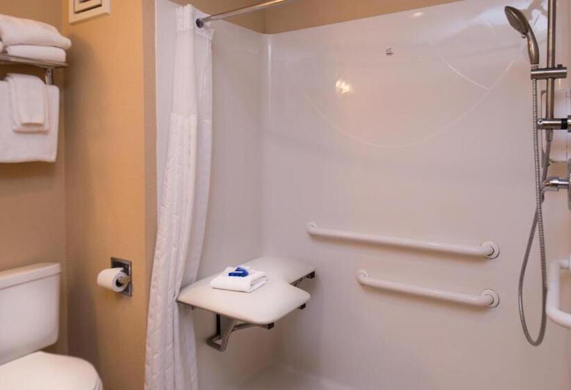 带大床的套房, Best Western Ambassador Inn & Suites