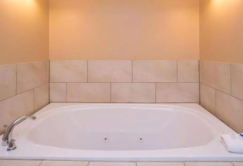 سوئیت با تخت بزرگ, Best Western Ambassador Inn & Suites