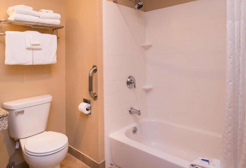 带大床的标准间, Best Western Ambassador Inn & Suites