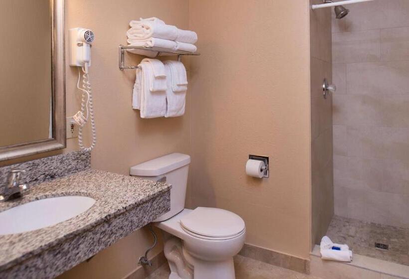 Люкс Повышенной Комфортности, Best Western Ambassador Inn & Suites