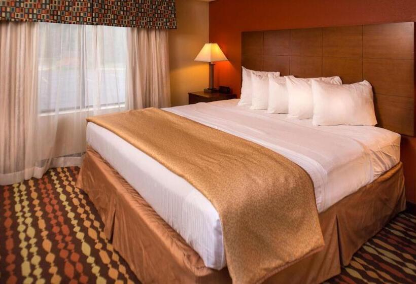 豪华套房, Best Western Ambassador Inn & Suites