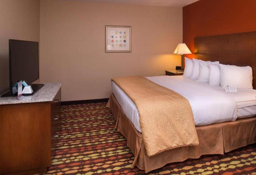 带大床的套房, Best Western Ambassador Inn & Suites
