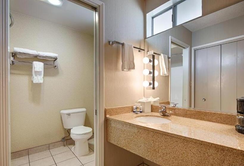 Номер Стандарт Кровать Квин Адаптированный для Инвалидов, Best Western Andersens Inn