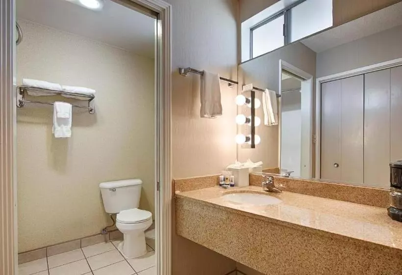 اتاق استاندارد با تخت دو نفره بزرگ برای معلولان, Best Western Andersens Inn