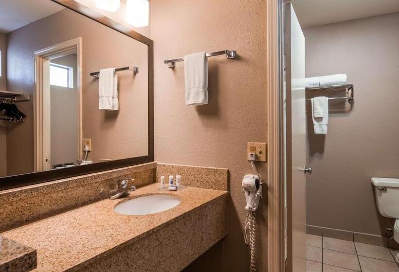 Номер Стандарт Кровать Квин Адаптированный для Инвалидов, Best Western Andersens Inn