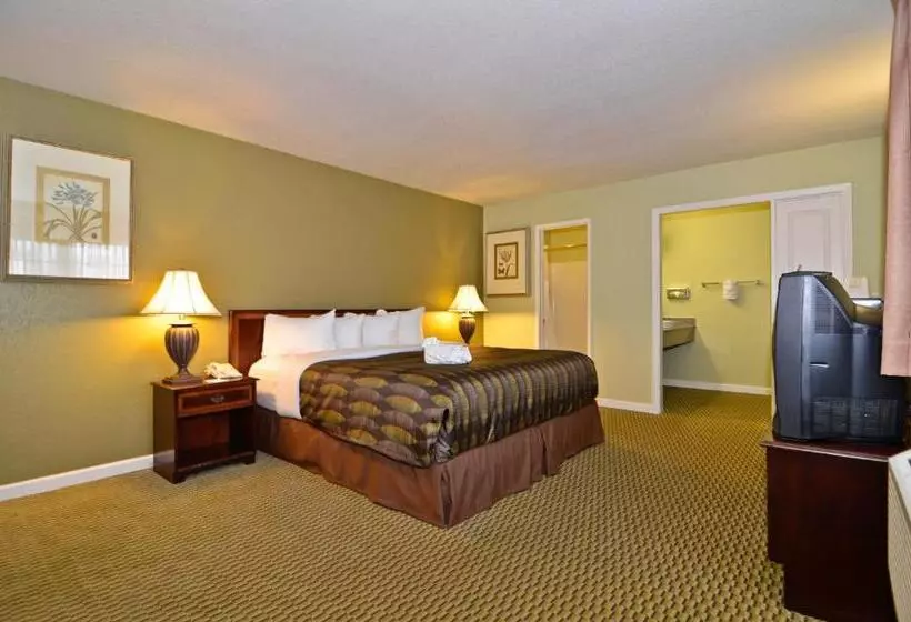 اتاق لوکس با تخت بزرگ, Anderson Inn