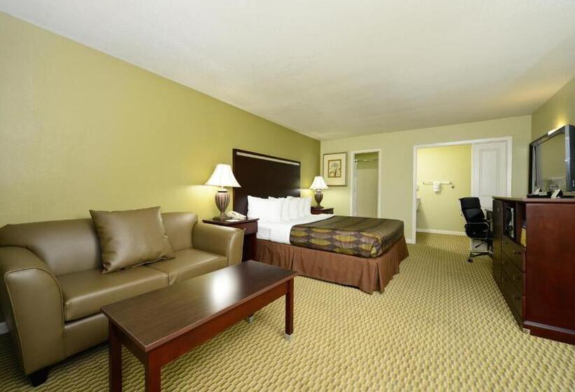 غرفة ديلوكس سرير كينج, Anderson Inn