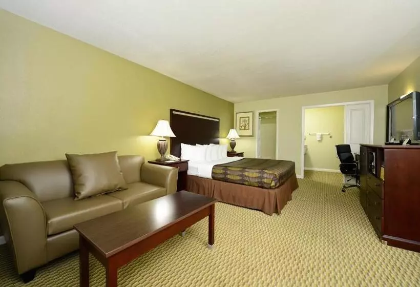اتاق لوکس با تخت بزرگ, Anderson Inn