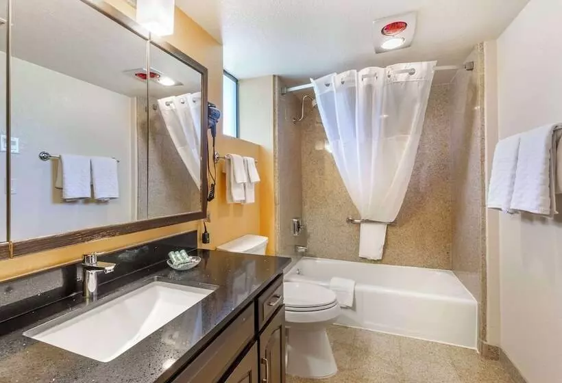 スイート, Best Western Arizonian Inn